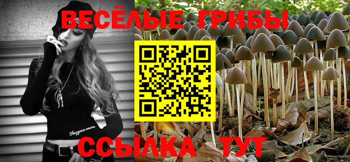 Добрянка  Псилоцибиновые грибы ЛСД  купить  сайты  Вход с VPN  Галлюциногенные грибы GOLDEN TEACHER 
