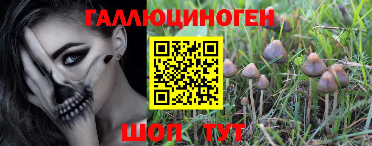Галлюциногенные грибы Magic Shrooms Добрянка